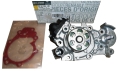 POMPA WODY RENAULT CLIO II 1.2 16V 210103314R ORYGINAŁ