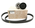 ZESTAW PASKA KLINOWEGO RENAULT CLIO III MODUS 1.5 DCI 117203694R